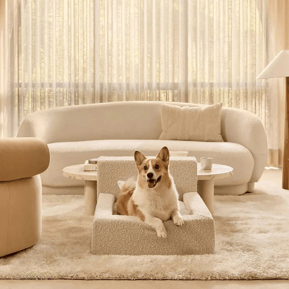 Modern Rectangular Pet Sofa Bed