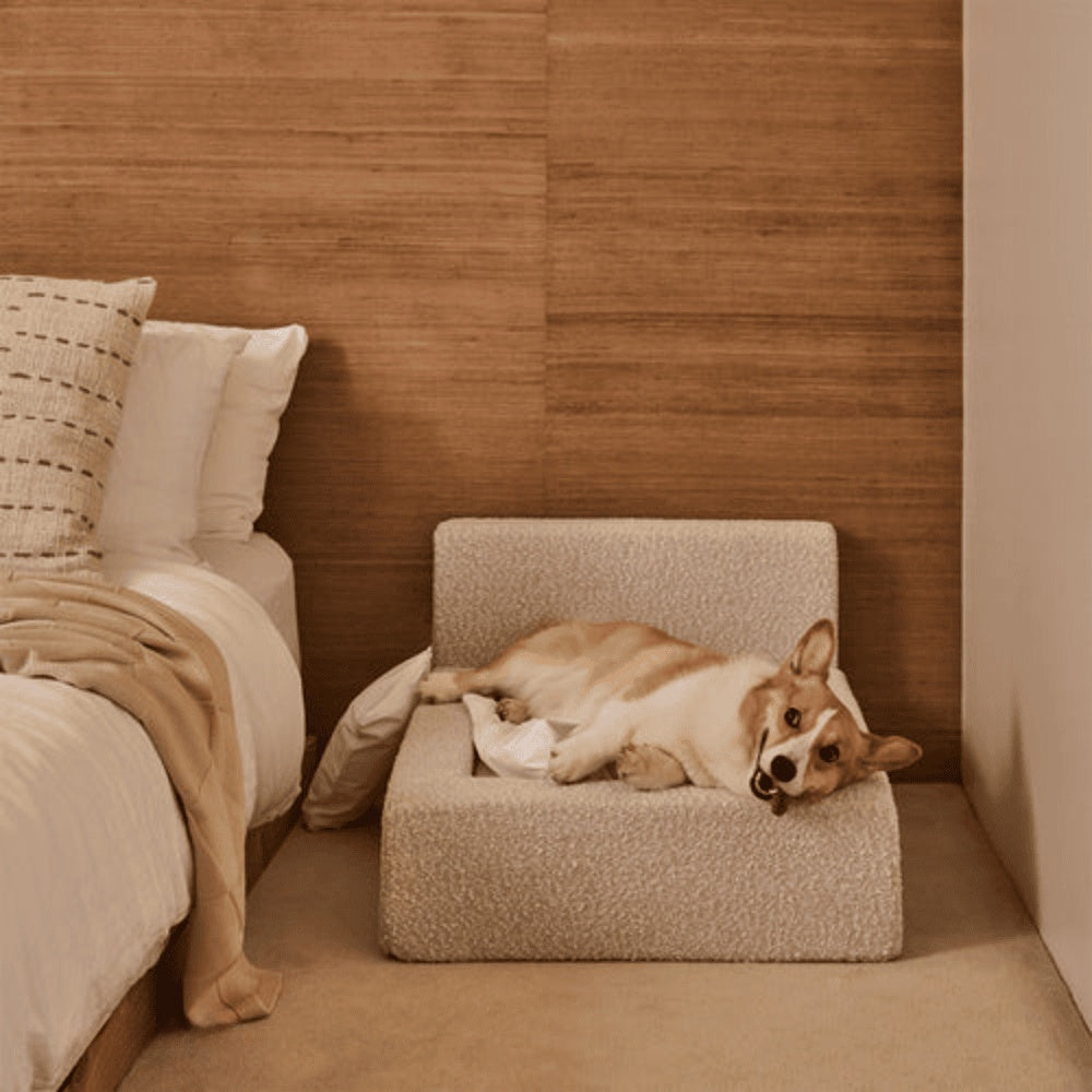 Modern Rectangular Pet Sofa Bed