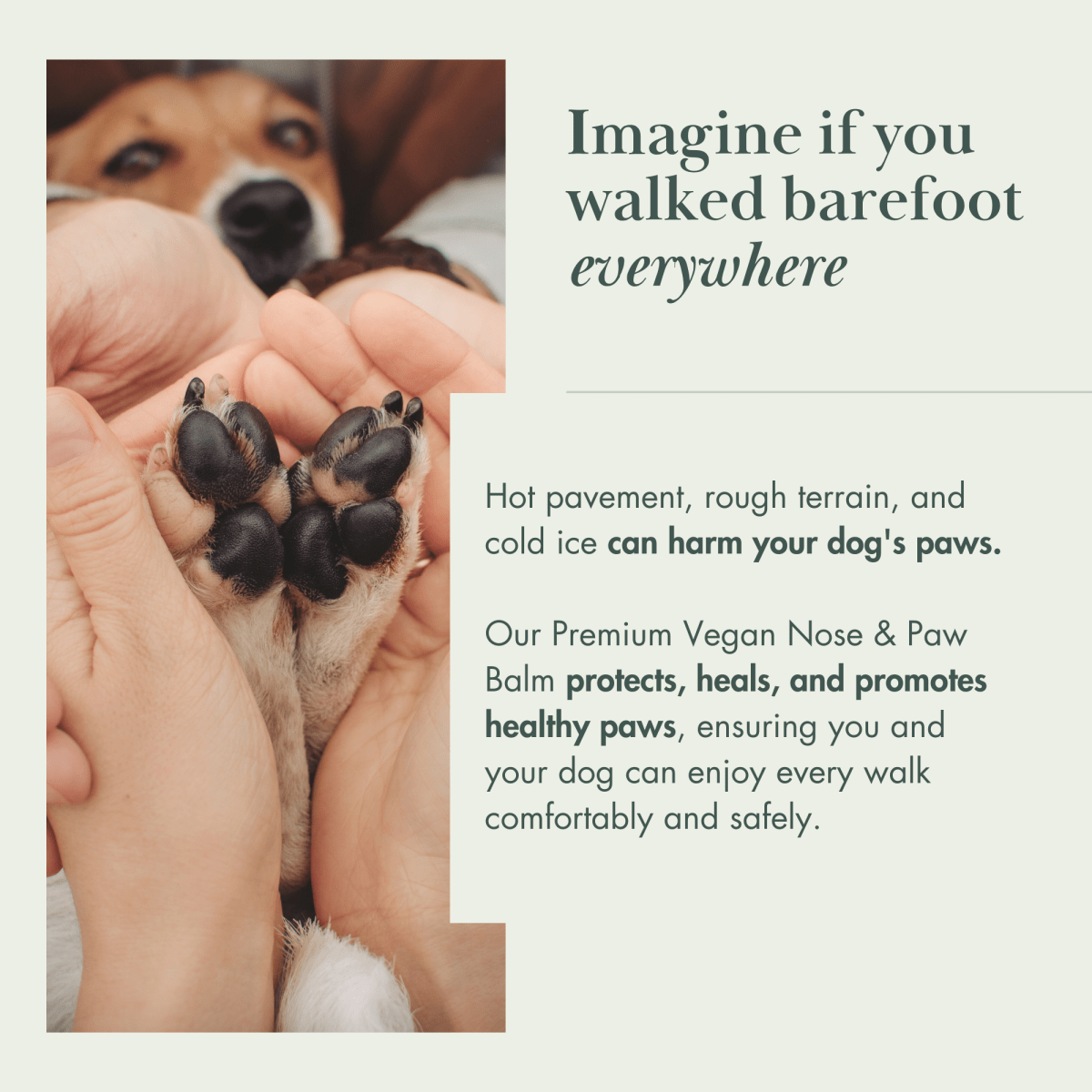 Vegan Nose & Paw Balm