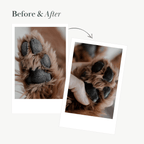 Vegan Nose & Paw Balm