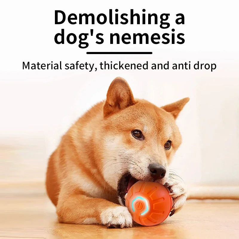 Smart Interactive Dog Ball