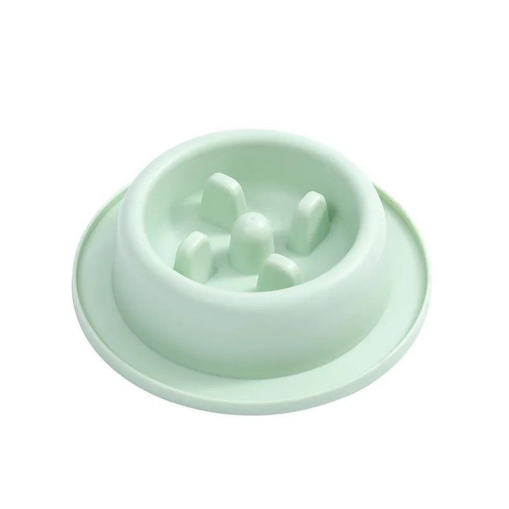 Slow-Feeder Dog Bowl