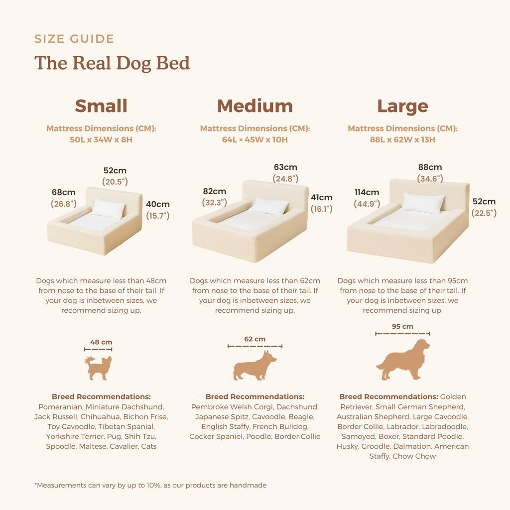 Modern Rectangular Pet Sofa Bed
