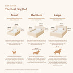 Modern Rectangular Pet Sofa Bed