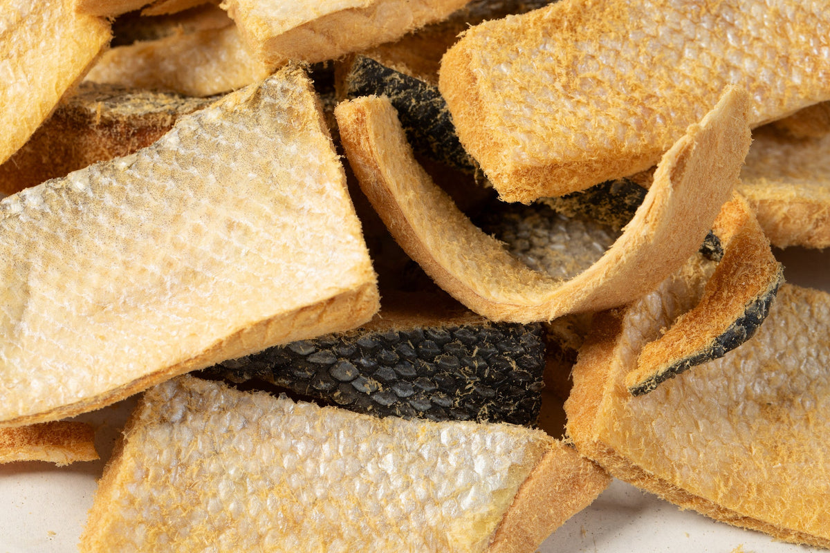 Dental Health Bundle — Topper + Salmon Skin Chews