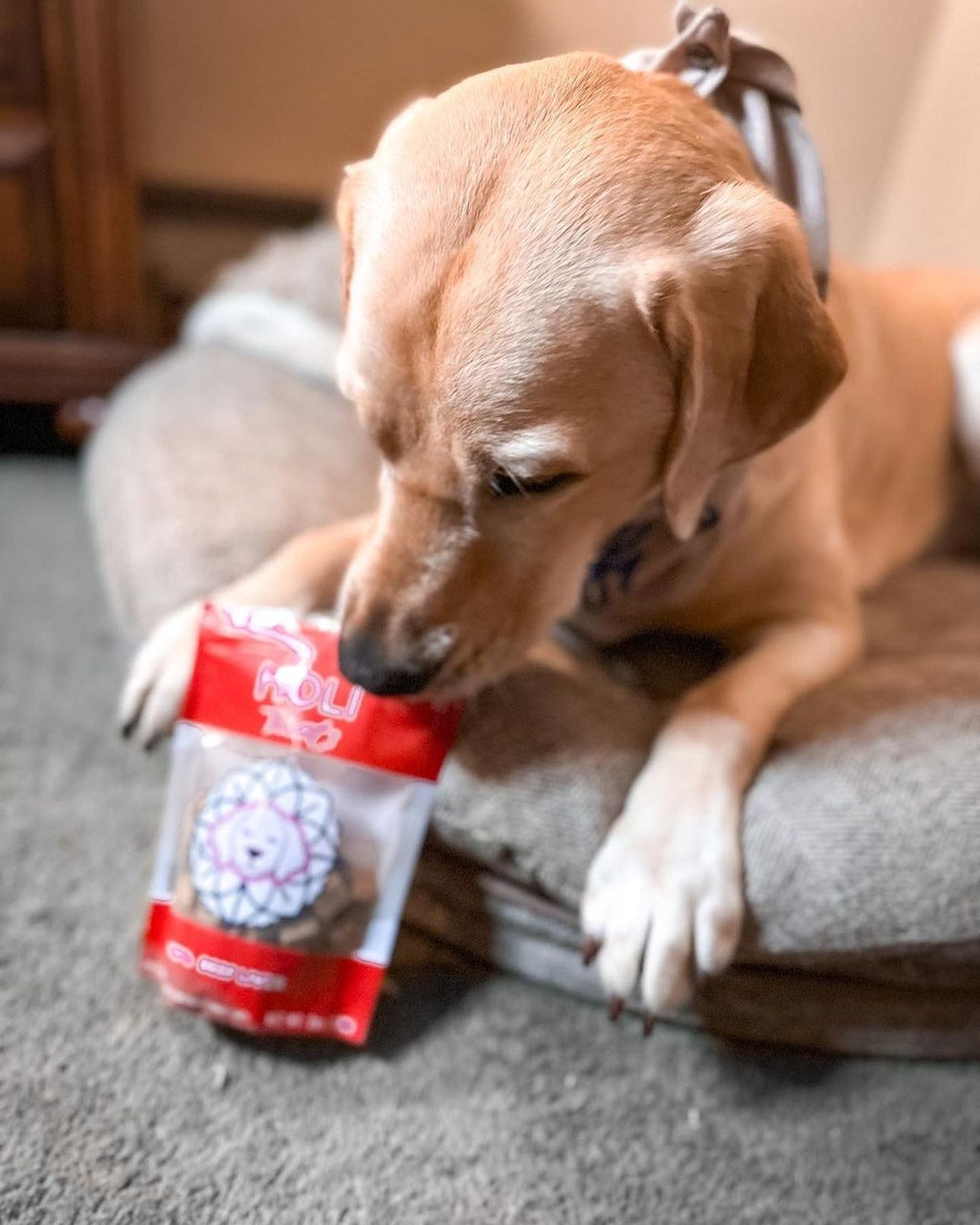 Freeze-Dried Beef Liver Dog Treats