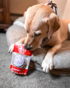 Freeze-Dried Beef Liver Dog Treats