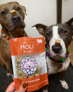 Freeze-Dried Lamb Liver Dog Treats