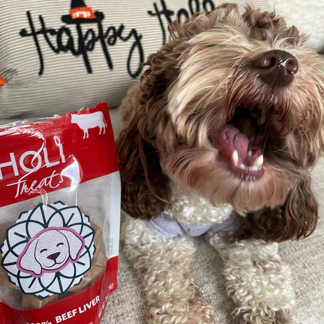 Freeze-Dried Beef Liver Dog Treats