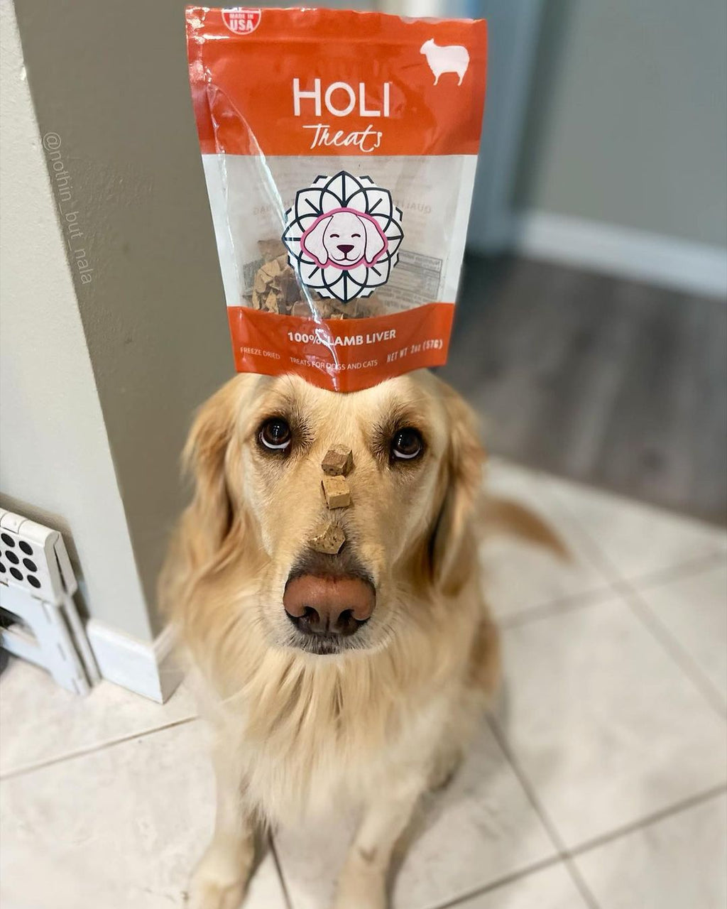 Freeze-Dried Lamb Liver Dog Treats