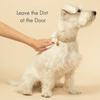 Plant-Based Biodegradable Grooming Wipes
