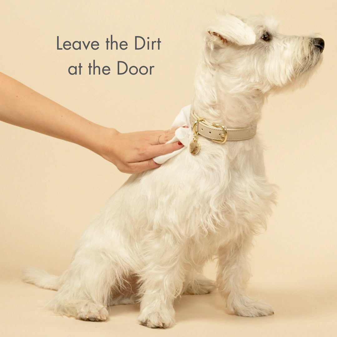 Plant-Based Biodegradable Grooming Wipes