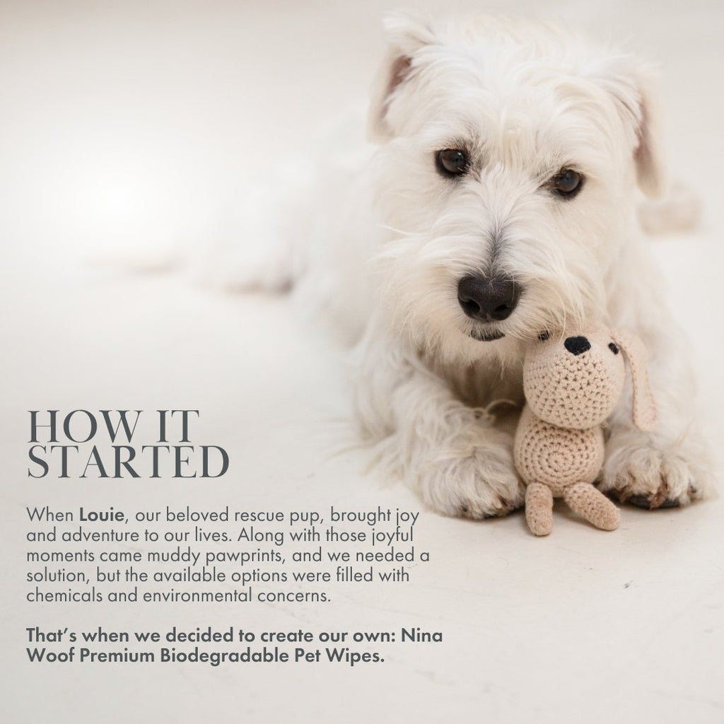 Plant-Based Biodegradable Grooming Wipes