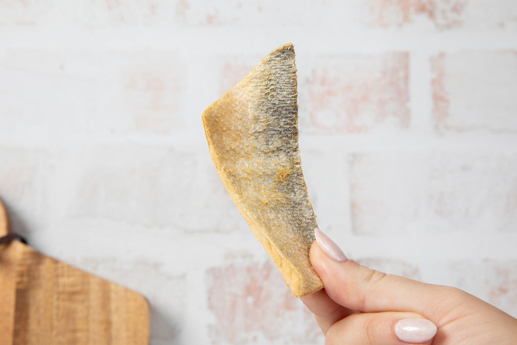 Dental Health Bundle — Topper + Salmon Skin Chews