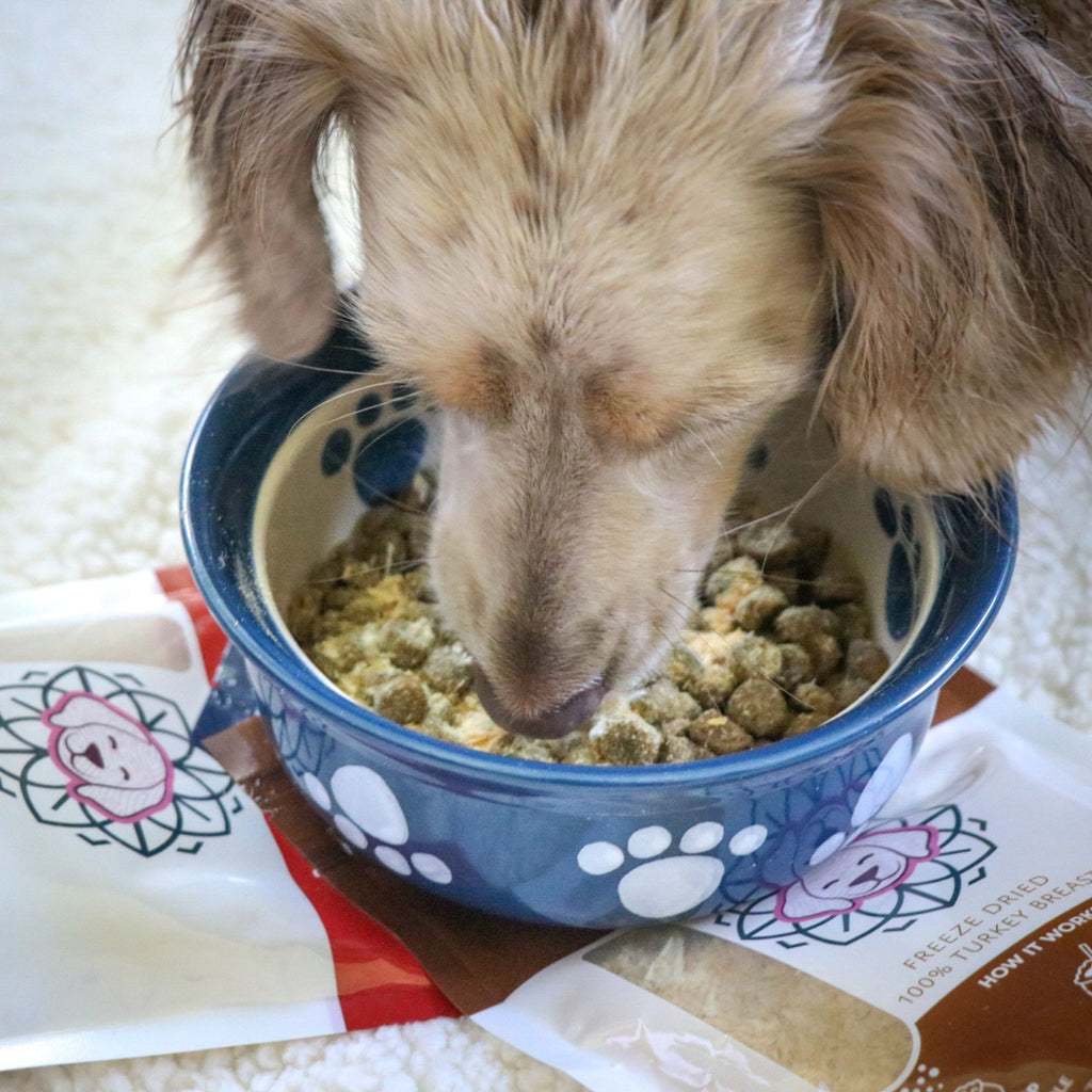 Freeze-Dried Chicken Breast Food Topper